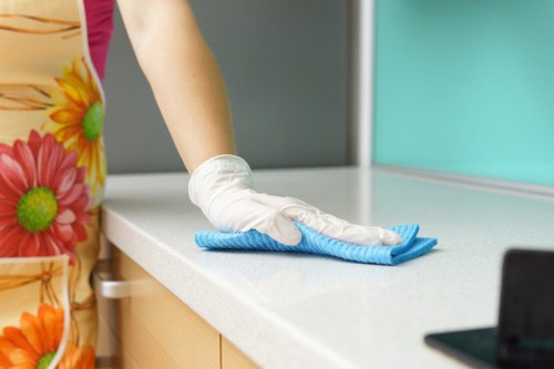 Professional end of tenancy cleaning for a Canary Wharf apartment interior