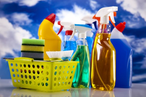 Professional house cleaning for a modern Canary Wharf apartment