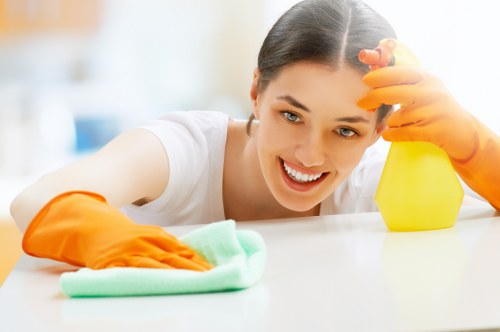 Sofa cleaning service for modern Canary Wharf apartments
