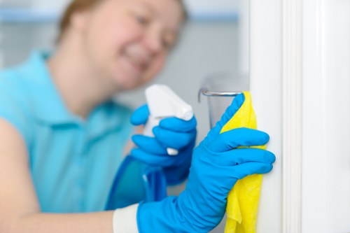 Deep cleaning process for pet stains in Canary Wharf property