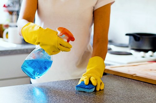 Detailed kitchen and bathroom deep cleaning in Canary Wharf