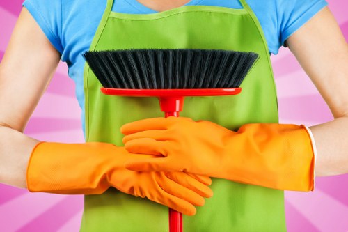 Professional regular cleaning service in Canary Wharf apartment interior