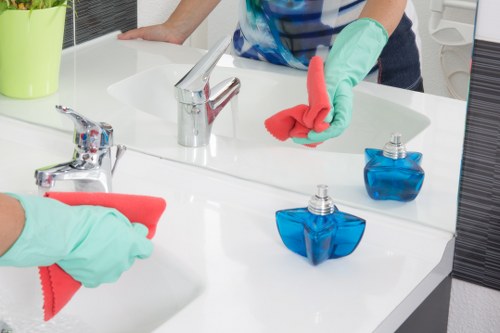 Move-in cleaning support for a Canary Wharf property
