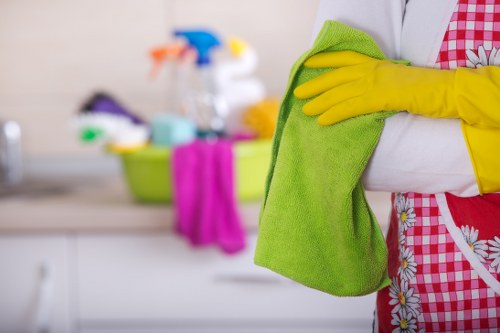 Local cleaner maintaining a modern home in Canary Wharf