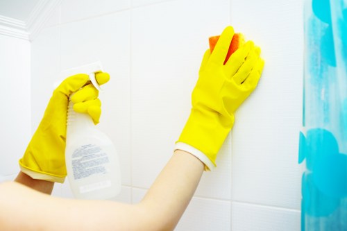 Graphic showing screen-reader compatible web content for carpet cleaners