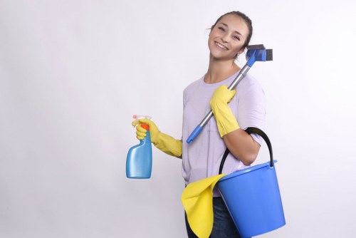Local regular cleaning service covering Canary Wharf and nearby areas