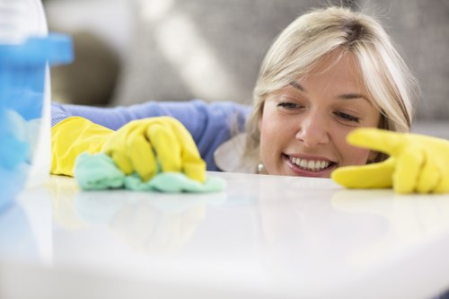 Thorough oven door and glass cleaning service for Canary Wharf homes