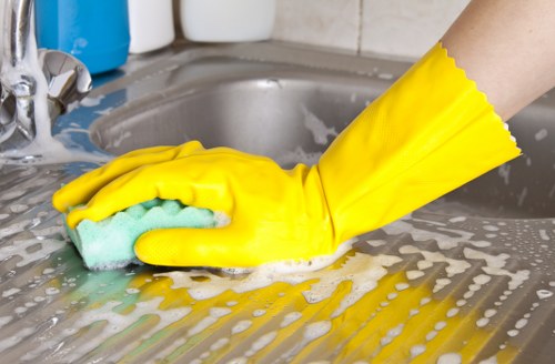Professional gutter cleaning for Canarywharf properties with local access challenges
