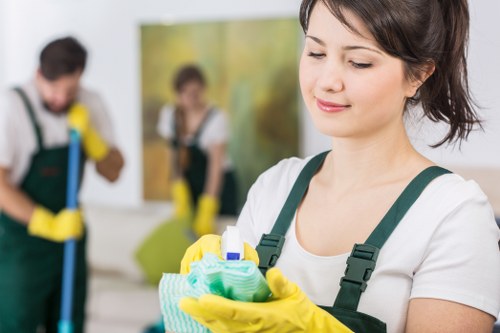 Professional upholstery cleaning in a Canary Wharf living room