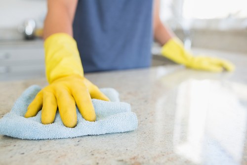 Detailed kitchen move out cleaning in a modern Canary Wharf flat